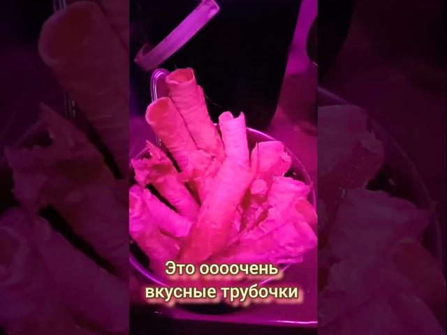 Вкусняшки для собак. Нужно мясное для каши