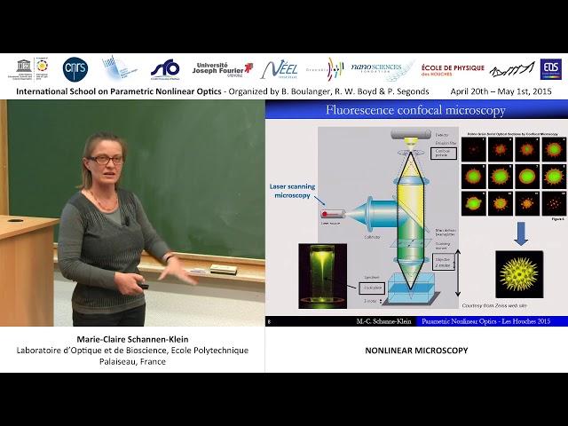 44/44 nonlinear microscopy