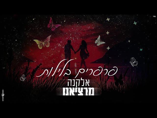 אלקנה מרציאנו - פרפרים בלילות (Prod. By Maor Shitrit)