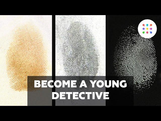 The best guide for young detectives