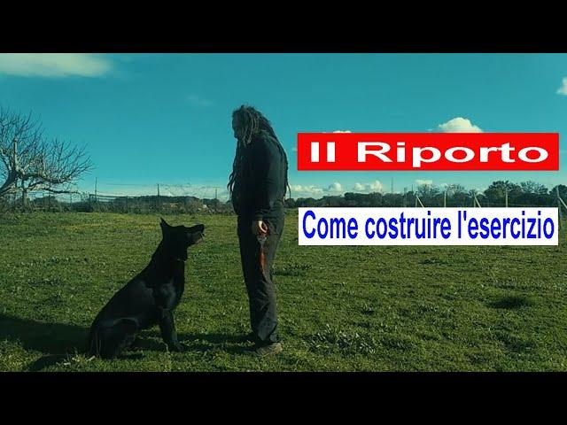 Il Riporto. Come costruire l'esercizio