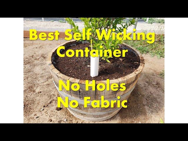 Best Self Wicking Container 2021 - No Holes, No Fabric