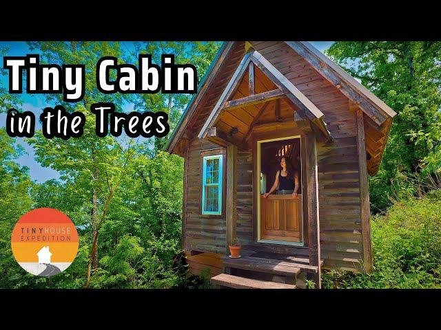 Could you live here? Dreamy Tiny House Cabin in the trees