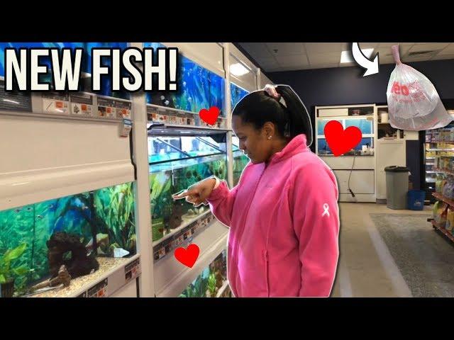 *NEW* FISH FOR 10G AQUARIUM FISH TANK!