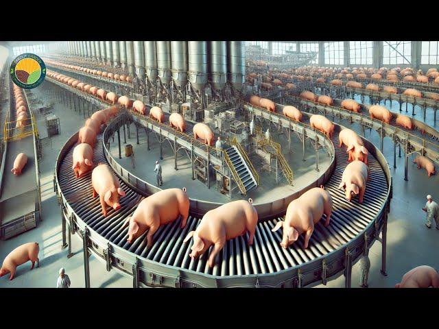 How US Farmers Raise Pigs: Fresh Pork Processing Factory | Farming Documentary