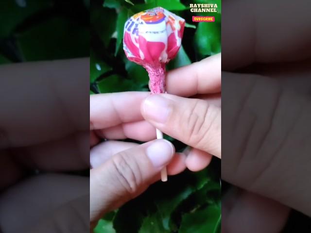 Hot Mil Milk Lollipop #yummy #sweet #candy #lollipop #unboxing #satisfying #fyp #shorts