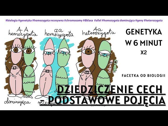 Genetyka - Pojecia - Allel - Homozygota - Genotyp - Fenotyp - Biologia [8 Klasa] - Dziedziczenie