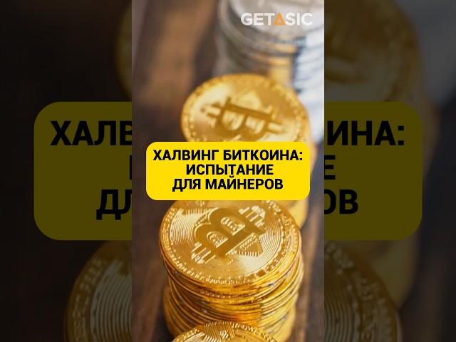 ХАЛВИНГ БИТКОИНА: ИСПЫТАНИЕ ДЛЯ МАЙНЕРОВ #халвинг #биткоин