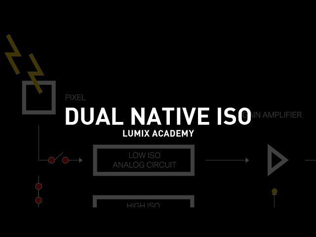 LUMIX Academy S1H | 11 What is Dual Native ISO