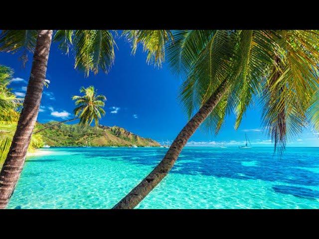 10+ Most Beautiful Beaches In The World