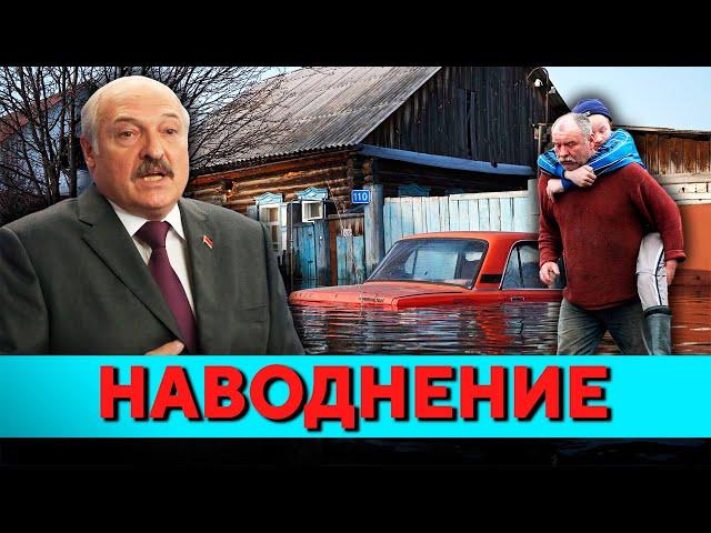 Новые последствия стихии: Могилёвская область тонет. Громкое дело в Витебске // Новости Беларуси