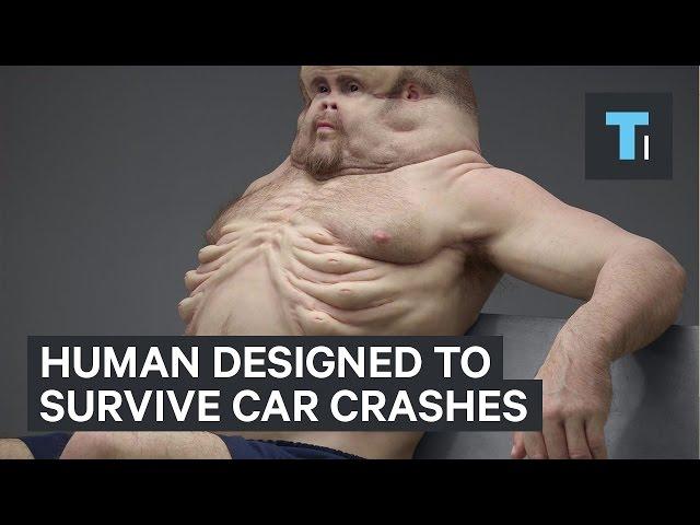 Human designed to survive car crashes