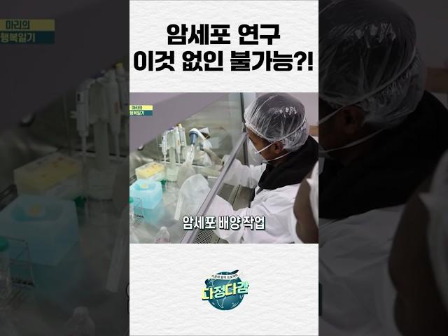 암세포 연구 이것 없인 불가능!? #다큐멘터리 #shorts #외국인