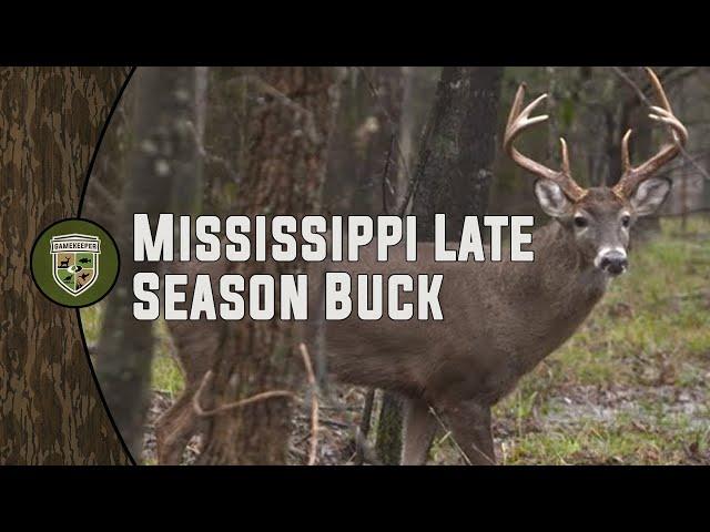 Mississippi Late Season Buck