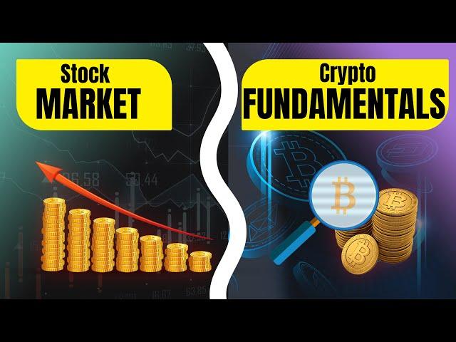 Stock Market Vs Crypto Fundamentals! Which is the best?  Explained | Cryptela