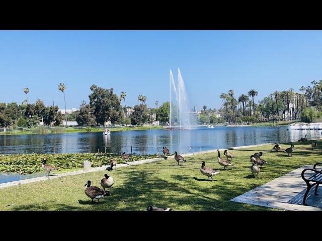 ECHO PARK TOUR IN LOS ANGELES CALIFORNIA