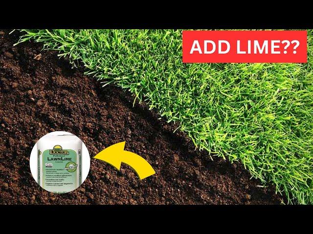 Lawn DIY: Should I Add Lime to My Lawn