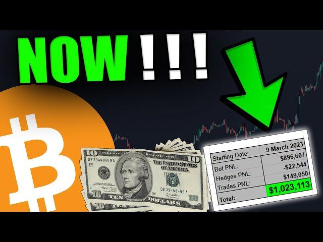 ALL IN BITCOIN AND ALTCOINS NOW ! ! !