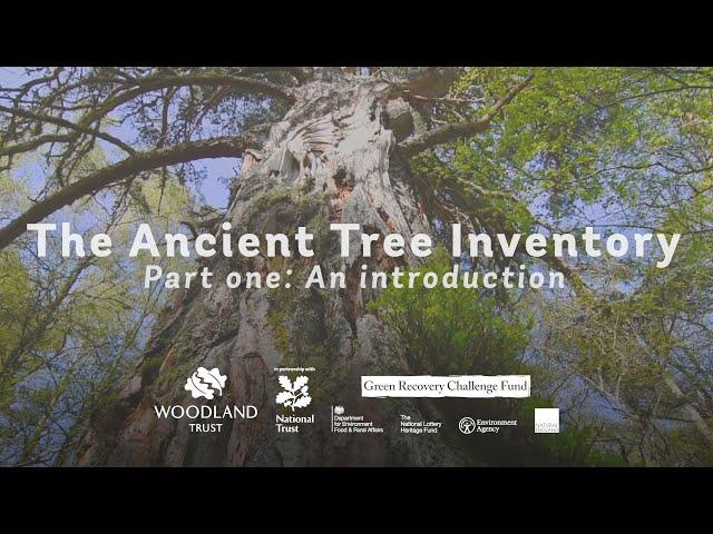 An Introduction to the Ancient Tree Inventory | ATI Part 1