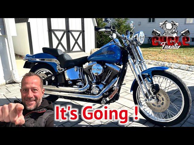 Who Will Be The New Owner Of This Bad Ass Springer Softail ?