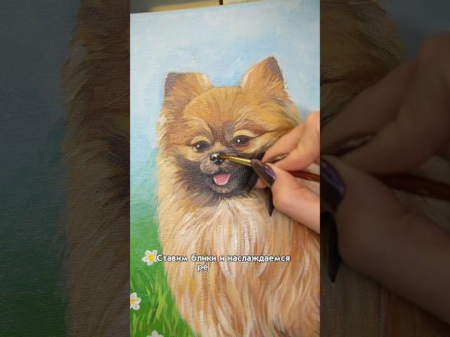 Рисуем помчика акрилом #мастеркласс #обучениерисованию #померанскийшпиц