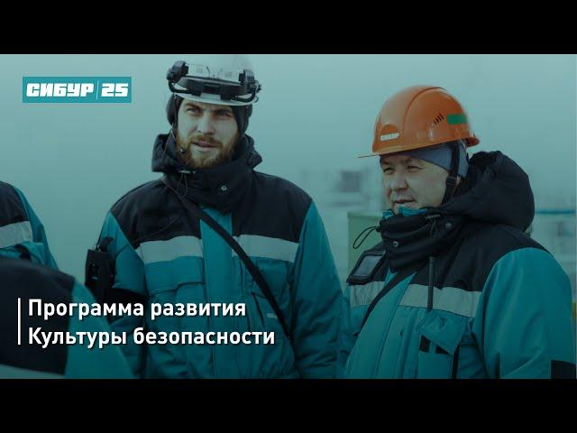 Зачем нужна культура безопасности?