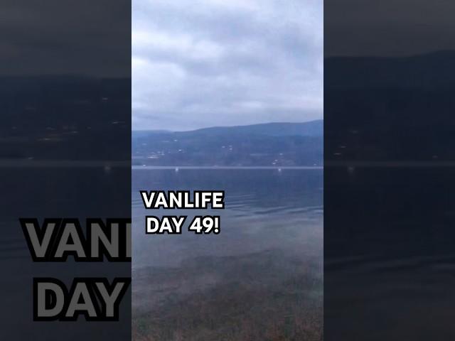 Vanlife Day 49! #vanlife #travelvlog #travelblog #carcamping