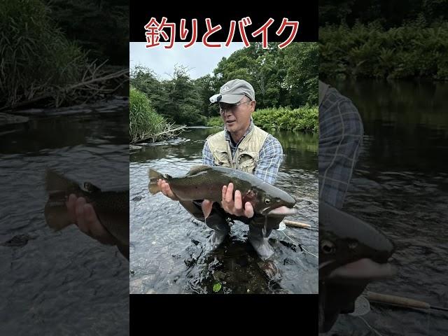 釣りとバイク