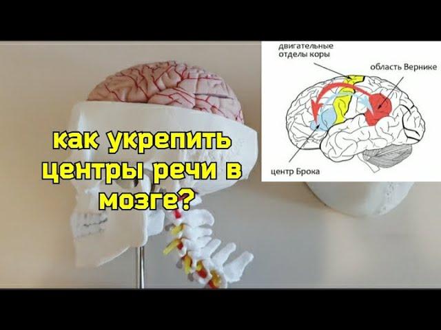 Мозг стал хуже работать? Укрепите шею и мозговые центры речи специальными упражнениями