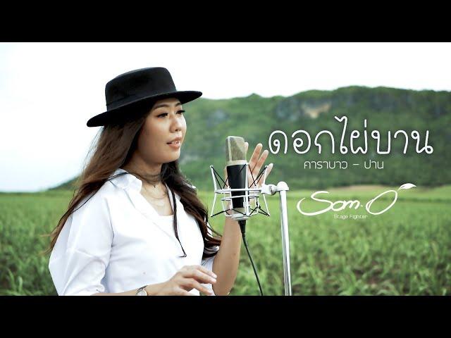 ดอกไผ่บาน - คาราบาว - ปาน : Cover 「 ส้มโอ Stage Fighter 」