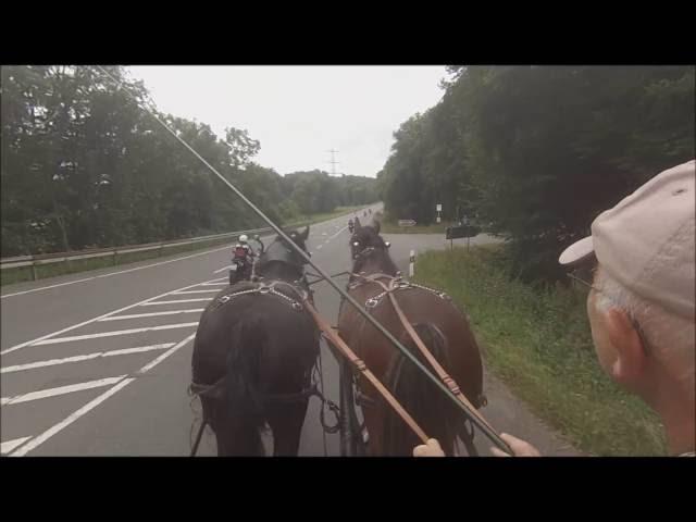 Irre Motorbiker überholen Shire-Kutsche – Crazy motorbiker pass horse coach - GoPro