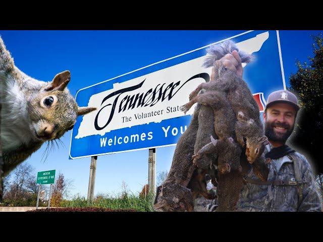 National Forest Squirrel Hunt | Tennessee 10 Squirrel Limit