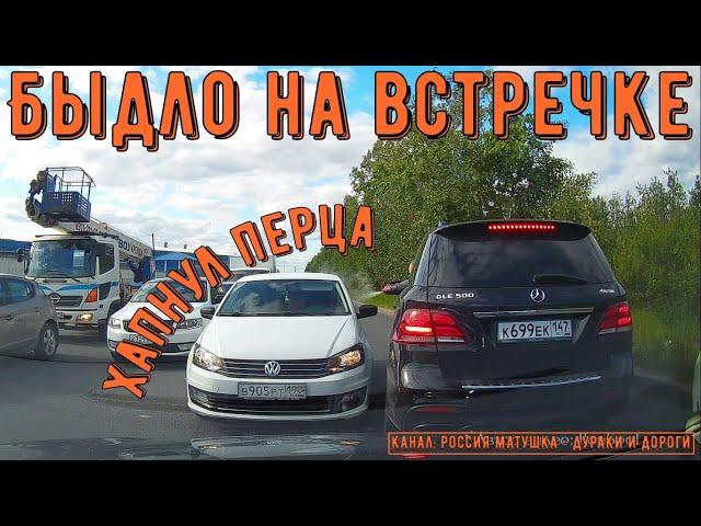 Быдло на встречке #171! Подборка на видеорегистратор!