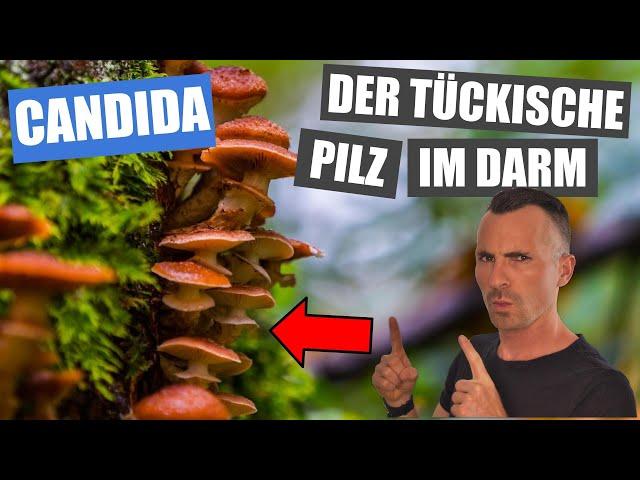 CANDIDA - der Pilz im Darm | 75% haben ihn und so wirst du ihn wieder los!