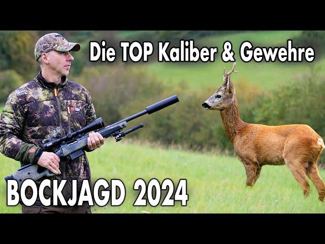 Die ultimativen Kaliber und Gewehrmodelle für die BOCKJAGD 2024!