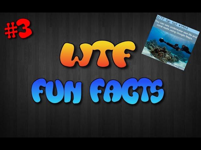 WTF Fun Facts #3