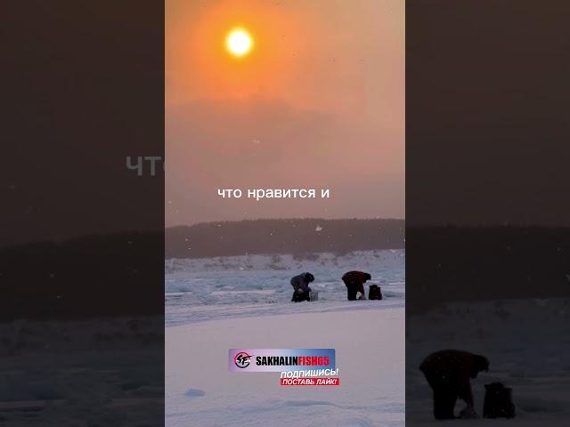  Рыбаки собирают рыбу. Рыболовные туры на Сахалине. Телефон/whatsapp: +7 (900) 662-77-77 #сахалин