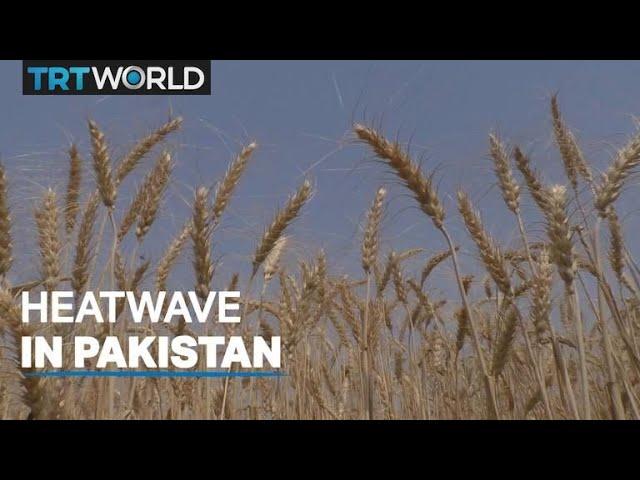 Heatwave brings Pakistan to standstill