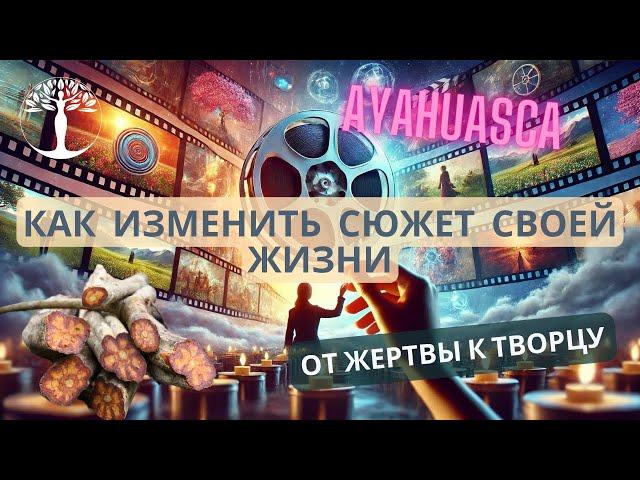 От Жертвы к Творцу: Как изменить сюжет своей жизни. Рубрика - саморазвитие и осознанность личности.