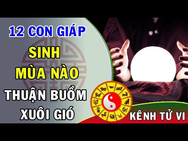 12 con giáp sinh mùa nào được thuận buồm xuôi gió