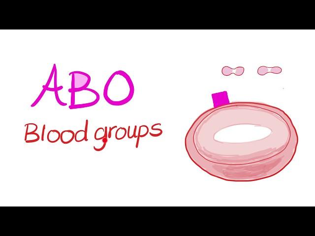 Blood Types (ABO system) - Blood Groups - Hematology Series