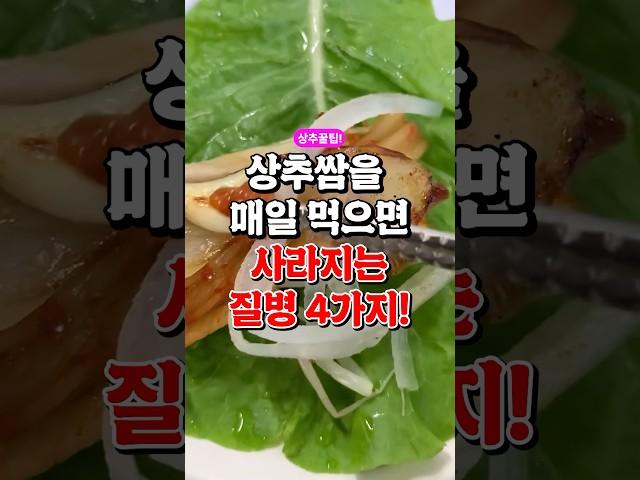 상추쌈을 매일 먹었더니 사라진 질병 4가지!