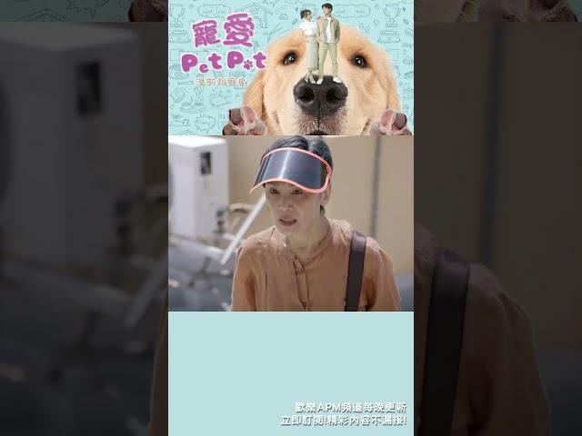 狗狗也會閙跳樓！？ #寵愛PetPet #歡樂APM #shorts