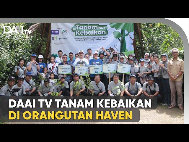 DAAI TV Tanam Kebaikan di Orangutan Haven 2024