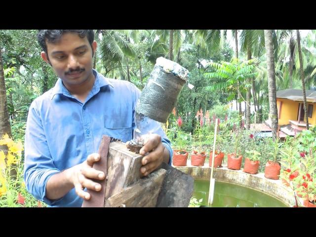 Stingless Bees / Meliponiculture Part 3 - How to split a Colony of Stingless Bees & A Swarm!