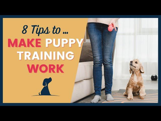 Puppy Training for Beginners