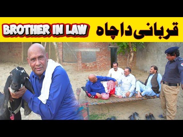 Qurbani Da Cha BROTHER-IN-LAW || Best Comedy Video 2025 || Akram Udas |@AkramUdasOfficial