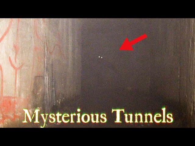 Strange Creature Spotted Inside Mysterious Tunnels