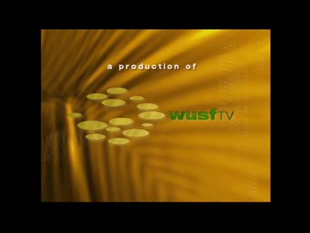 WUSF (With orange carpet background and "TV" word, 2010)