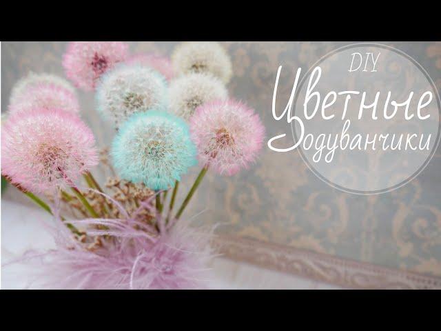 ЦВЕТНЫЕ  ОДУВАНЧИКИ / COLOURED DANDELIONS